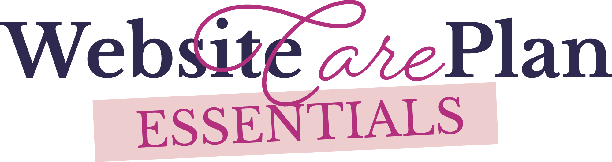 Website Care Plan Essentials